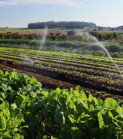 Agricultural Irrigation